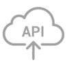 API icon